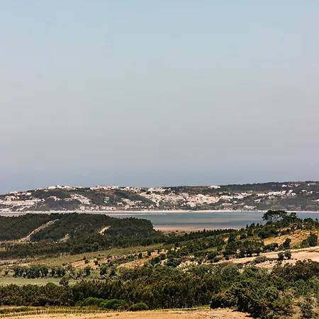Wonderful View *